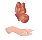des ressources et des ailes
